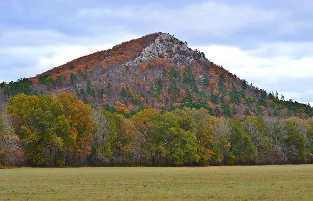 The Next Loop | Pinnacle Mountain race photo