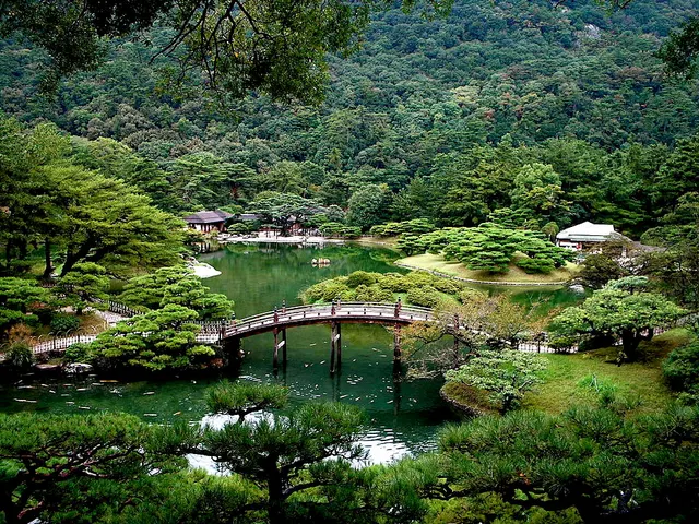 Ảnh giải Cuộc thi Marathon Urashima thành phố Mitoyo lần thứ 8