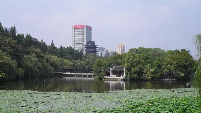 Hefei International Marathon race photo