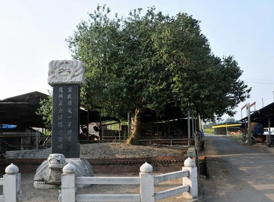 ภาพงานวิ่ง 세이브더칠드런 국제어린이마라톤(나주)