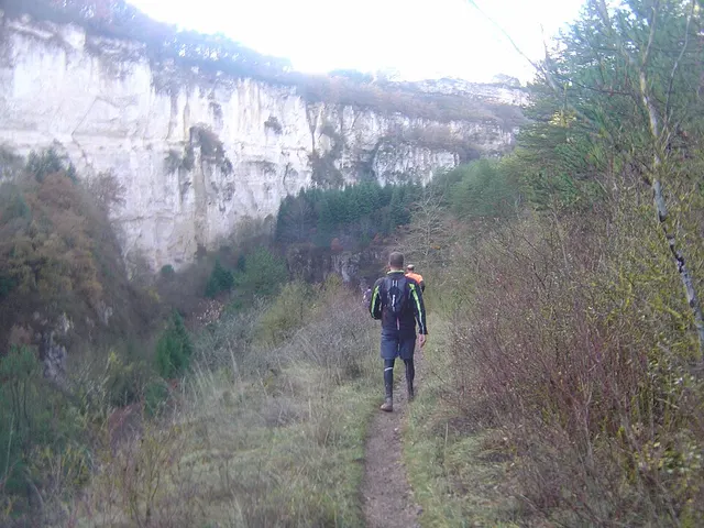 Hivernale des Templiers Laufbild
