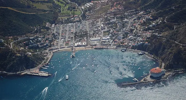 Foto lomba Catalina Island Marathon, 10K, 5K