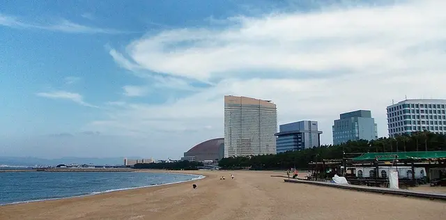 Maratón Internacional de Fukuoka 2026 — foto de la carrera