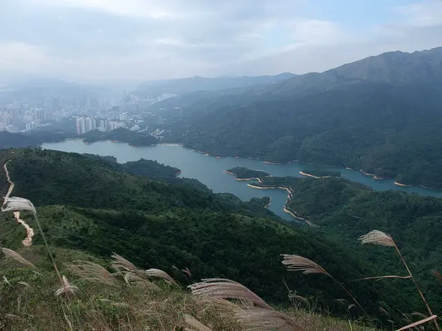 AVOHK水塘系列賽2026 – 第3場於城門水塘舉行 賽事照片