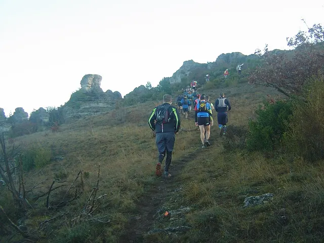 Hivernale des Templiers Laufbild