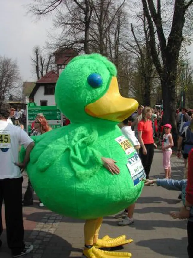 Spreewald Marathon — photo de la course