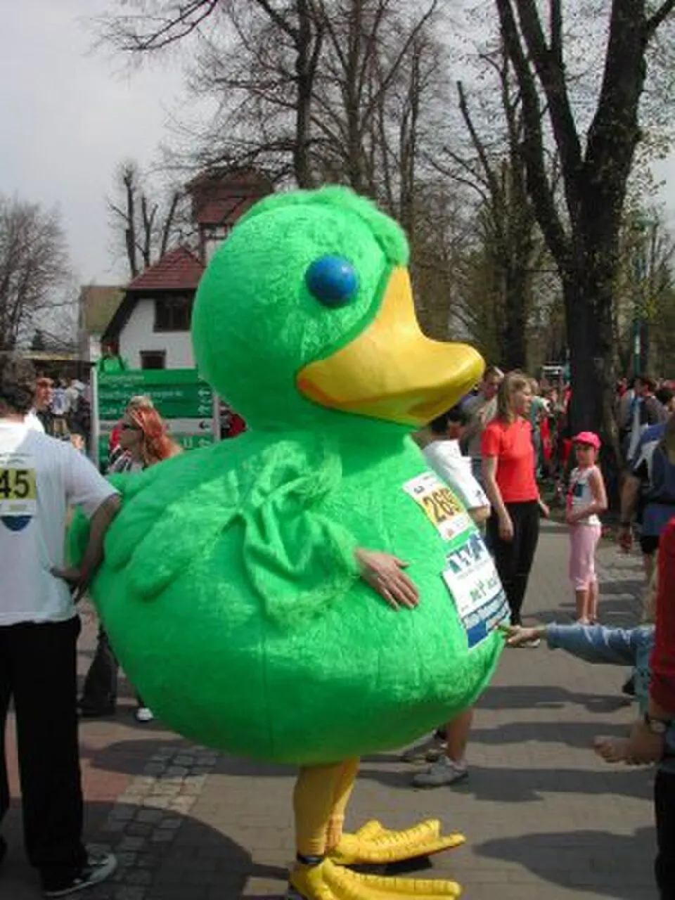 Spreewald Marathon — photo de la course