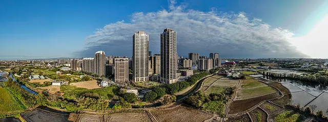 2026桃园落羽松秘境马拉松 赛事照片