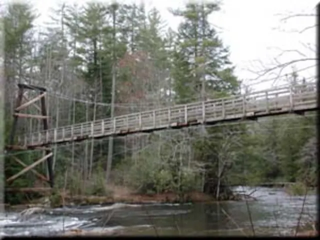 Duncan Ridge Trail — photo de la course